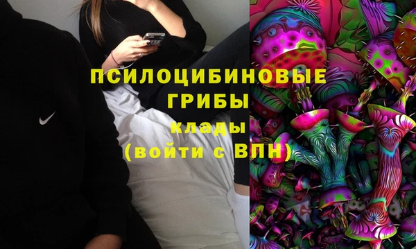 герыч Няндома