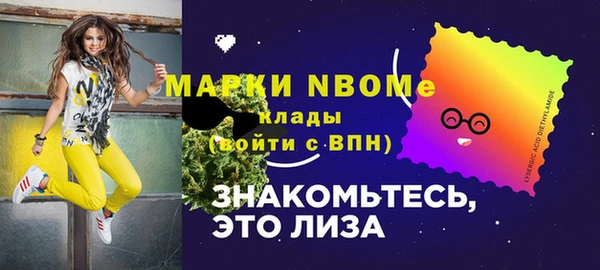 СК Новозыбков