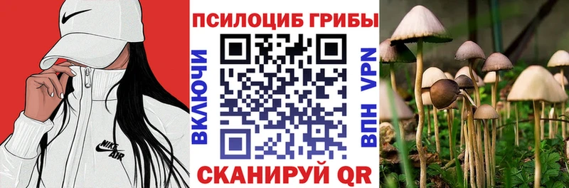 Галлюциногенные грибы прущие грибы Коркино
