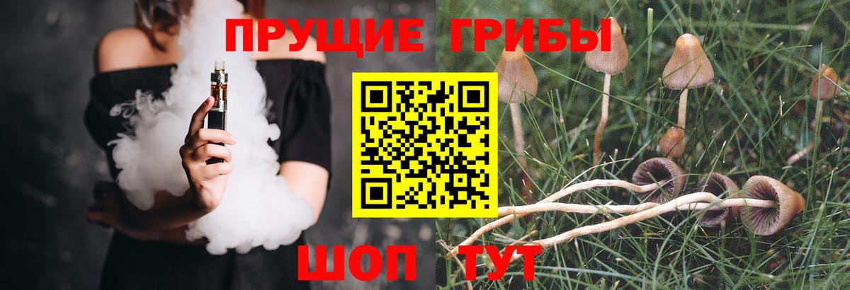 Галлюциногенные грибы GOLDEN TEACHER Коркино